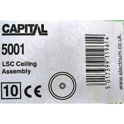 LSC ceiling assembly